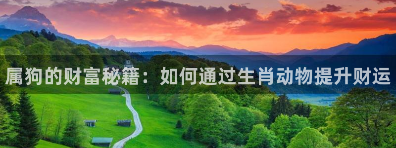 万赢娱乐官网下载：属狗的财富秘籍：如何通过生肖动物提升财运