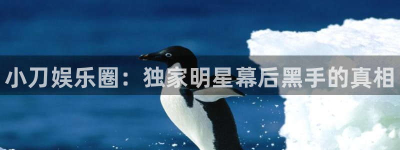 万赢娱乐：小刀娱乐圈：独家明星幕后黑手的真相