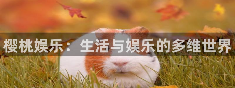壹号大舞台怎么注册：樱桃娱乐：生活与娱乐的多维世界