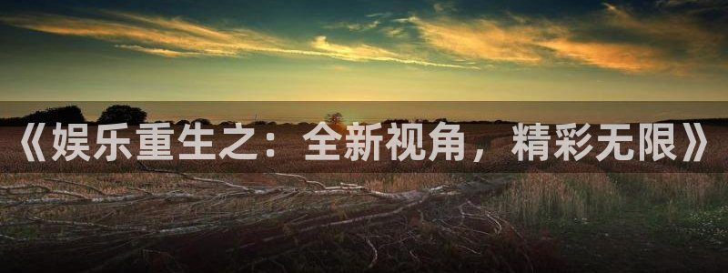 万赢娱乐电子游戏官网：《娱乐重生之：全新视角，精彩无限》