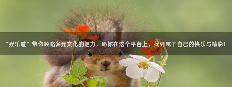 壹号app下载官方网站：“娱乐道”带你领略多元文化的魅力，愿你在这个平台上，找到属于自己的快乐与精彩！