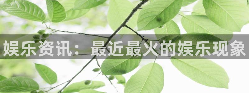 万赢娱乐app入口：娱乐资讯：最近最火的娱乐现象