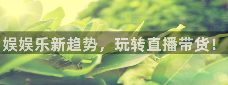 壹号下载安装：娱娱乐新趋势，玩转直播带货！
