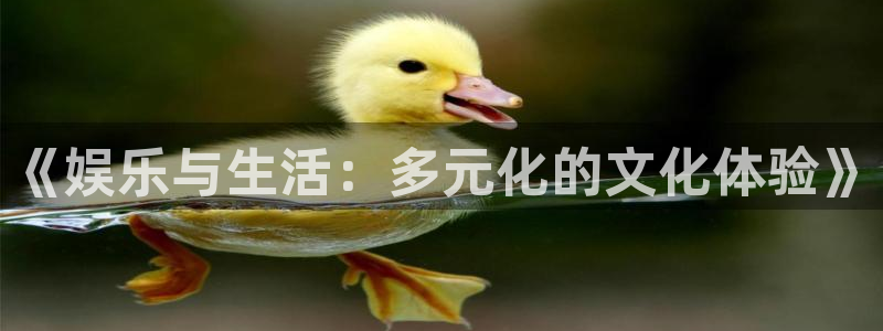 壹号注册入口app下载：《娱乐与生活：多元化的文化体验》