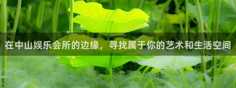 万赢娱乐平台app下载：在中山娱乐会所的边缘，寻找属于你的艺术和生活空间