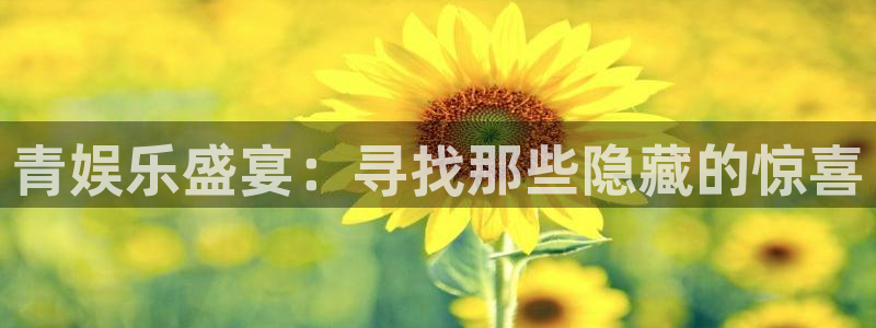 万赢娱乐app下载安装：青娱乐盛宴：寻找那些隐藏的惊喜