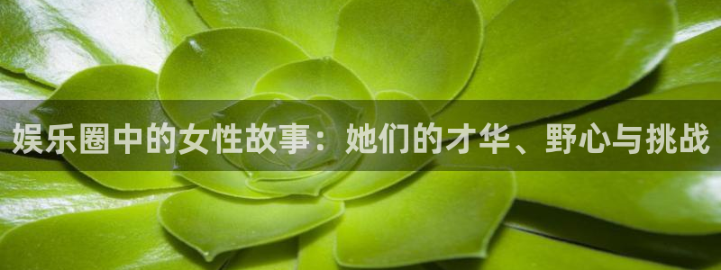 壹号注册入口app下载：娱乐圈中的女性故事：她们的才华、野心与挑战