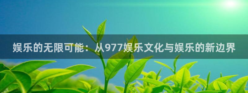 壹号电子娱乐app下载官网：娱乐的无限可能：从977娱乐文化与娱乐的新边界