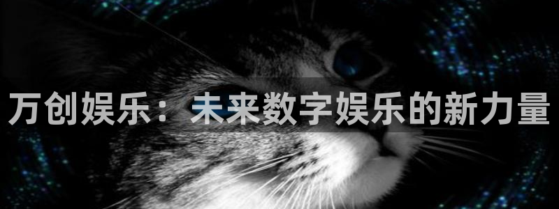 壹号大舞台官网：万创娱乐：未来数字娱乐的新力量