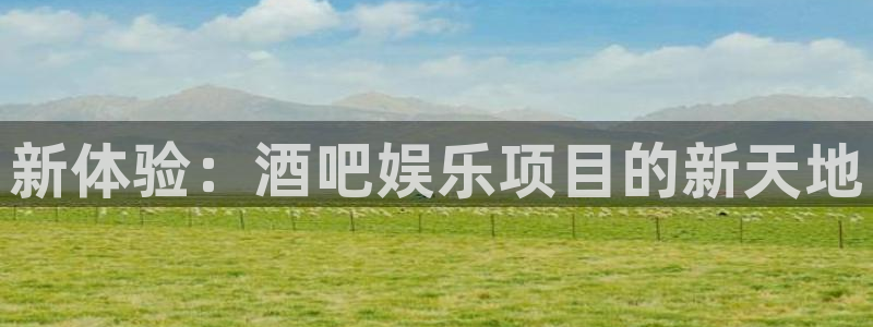 万赢娱乐,apk.1：新体验：酒吧娱乐项目的新天地