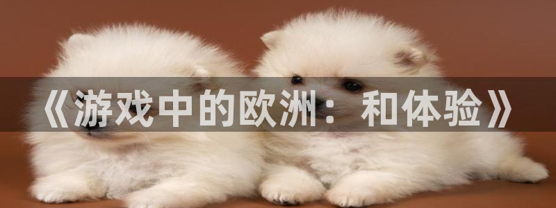 万赢娱乐.com：《游戏中的欧洲：和体验》