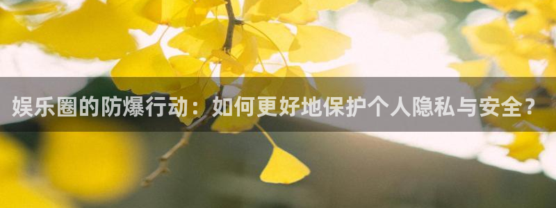 万赢娱乐-ng大舞台,有梦你就来：娱乐圈的防爆行动：如何更好地保护个人隐私与安全？