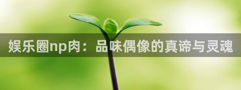 万赢娱乐app下载安装最新版：娱乐圈np肉：品味偶像的真谛与灵魂