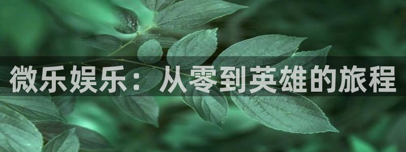 壹号平台下载安装官网：微乐娱乐：从零到英雄的旅程