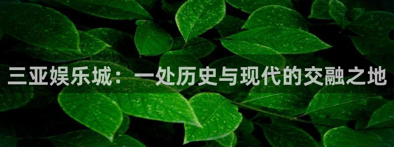 万赢娱乐app下载：三亚娱乐城：一处历史与现代的交融之地