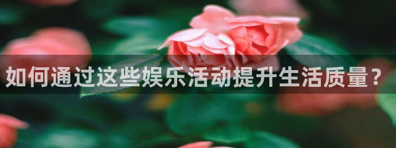 万赢娱乐官网下载：如何通过这些娱乐活动提升生活质量？