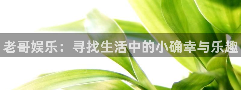 壹号大舞台下载链接：老哥娱乐：寻找生活中的小确幸与乐趣