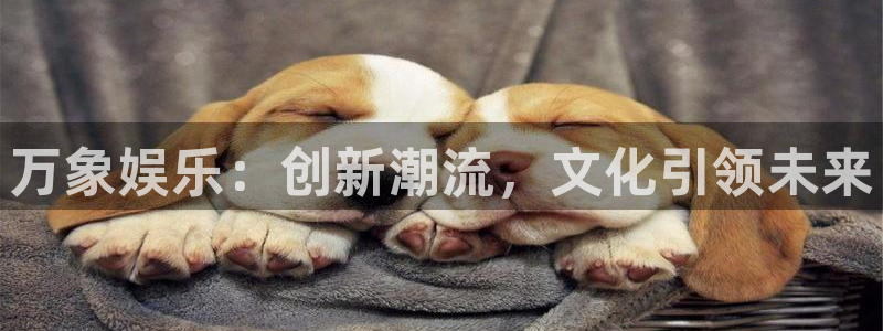壹号电子娱乐app下载最新版本：万象娱乐：创新潮流，文化引领未来