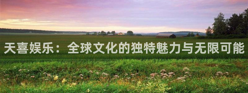 壹号下载官网入口：天喜娱乐：全球文化的独特魅力与无限可能