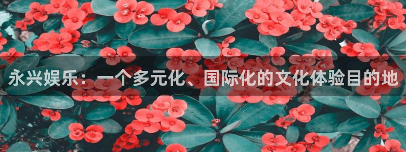 万赢娱乐app下载安装：永兴娱乐：一个多元化、国际化的文化体验目的地