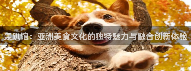 万赢娱乐 - ng大舞台,有梦你就来