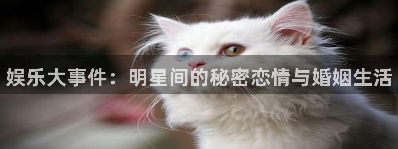 万赢娱乐,com
