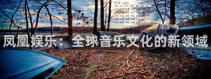 壹号大舞台,有梦你就来：凤凰娱乐：全球音乐文化的新领域