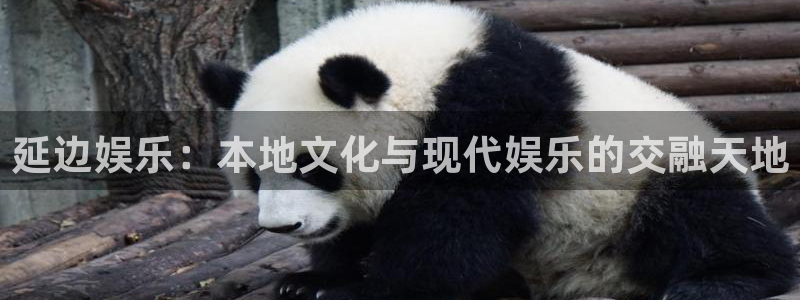壹号官网app下载安装：延边娱乐：本地文化与现代娱乐的交融天地