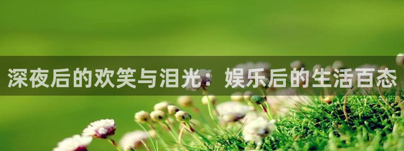 万赢娱乐官网下载：深夜后的欢笑与泪光：娱乐后的生活百态