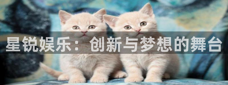 壹号大舞台怎么下载：星锐娱乐：创新与梦想的舞台