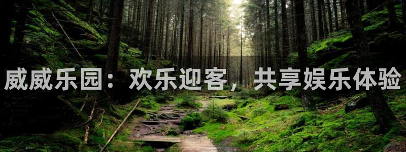 壹号app下载苹果：威威乐园：欢乐迎客，共享娱乐体验
