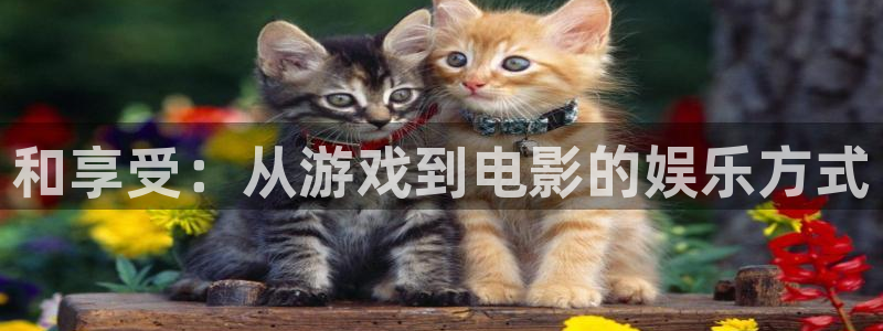 壹号top娱乐：和享受：从游戏到电影的娱乐方式