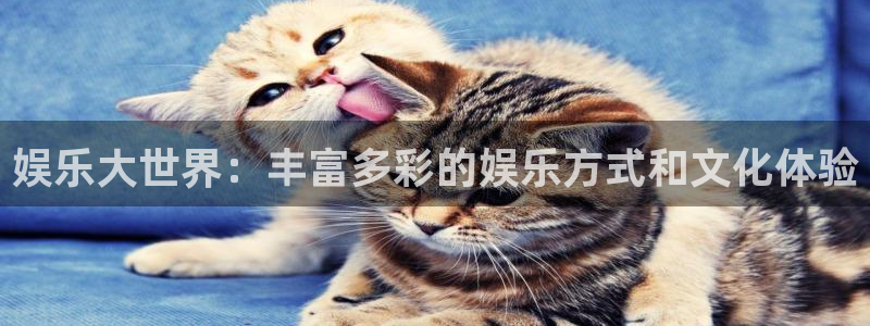 万赢娱乐app下载：娱乐大世界：丰富多彩的娱乐方式和文化体验