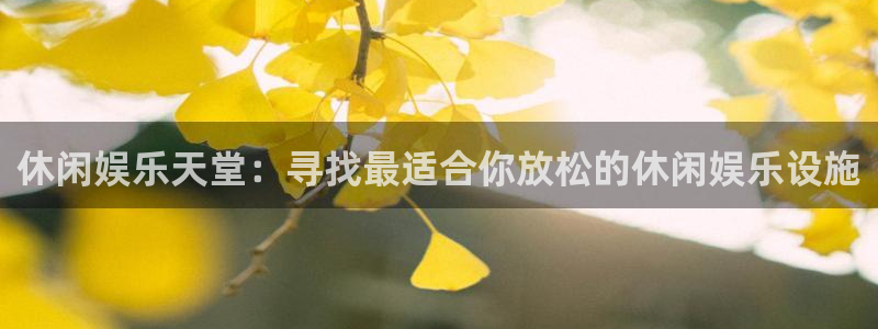 壹号大舞台官网入口：休闲娱乐天堂：寻找最适合你放松的休闲娱乐设施